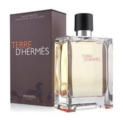 Picture of Perfume Hermes Terre Edt Regarga 125Ml