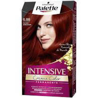 Picture of Coloração Palette Vermelho Rubi 6.88