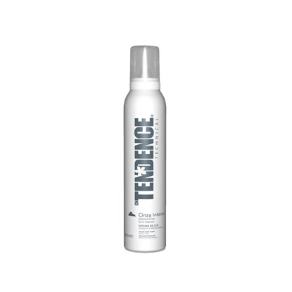 Picture of Tendence Technical Espuma para Cabelo Cinza Intenso 200ml